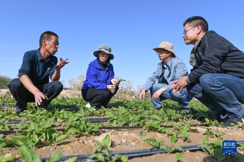 斗牛下载官网